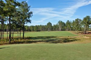 Tree Farm 11th